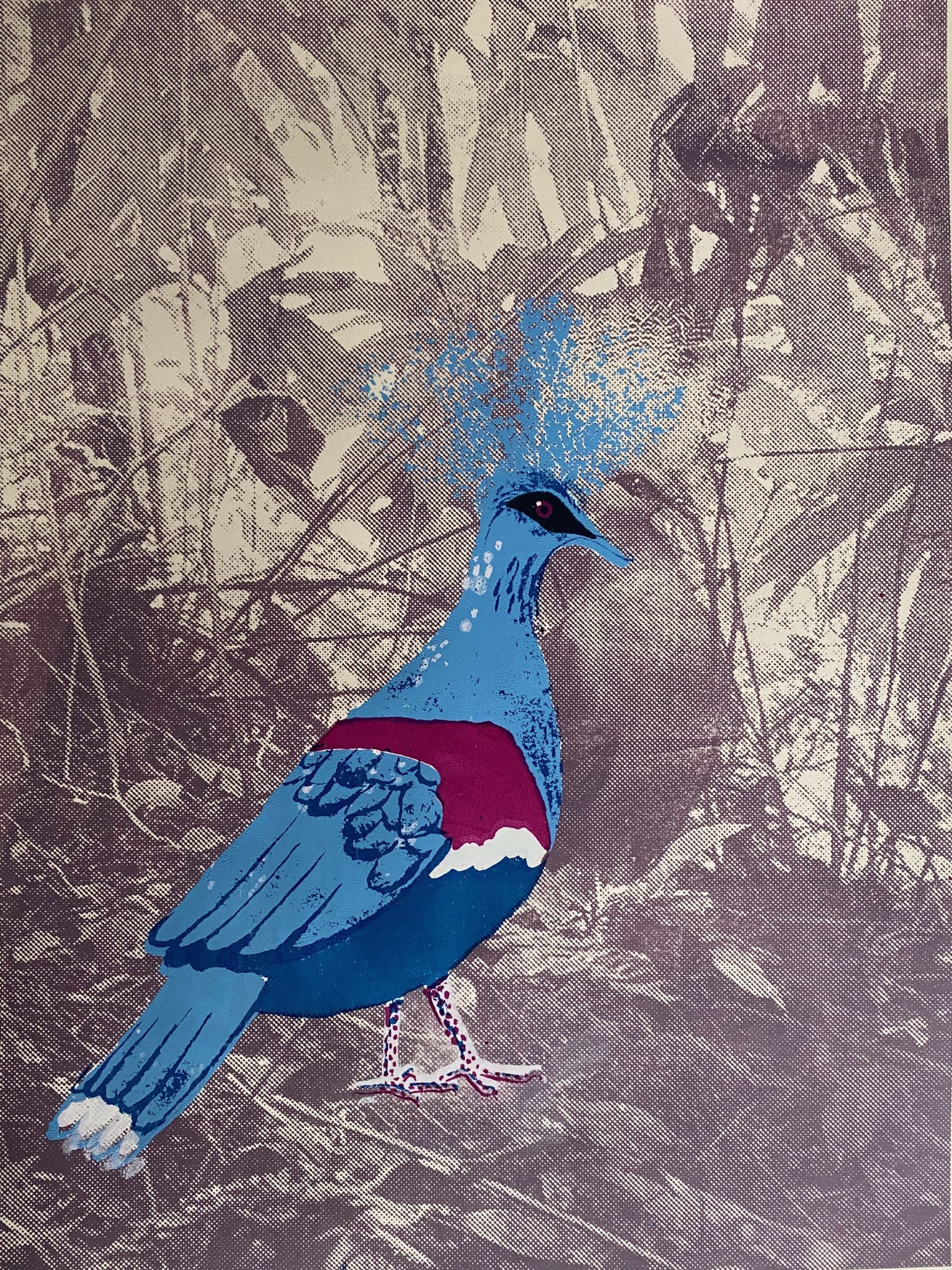 Bush Chicken